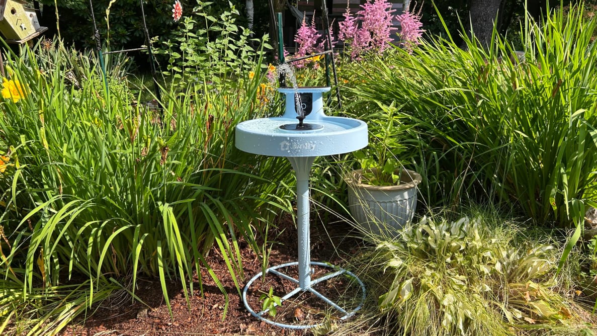 A Birdfy Bath Pro stands in a garden