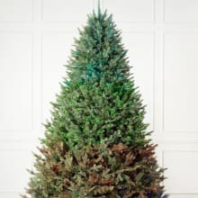 Product image of Balsam Hill Fir Flip Tree