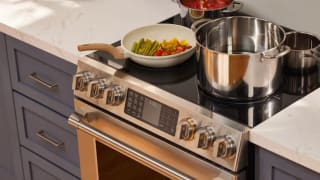 A close-up photo of the Fotile electric range highlighting the electric cooktop and the oven control knobs.